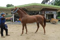 ���丮��ũ�� (VICTORY SECRET) ����