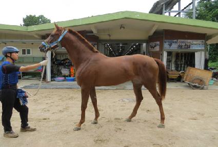 ���丮��ũ�� ����