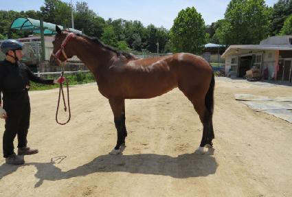 õ������ ����