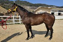 �����ǰ��� (BEOLMAUI GANGJA) ����