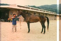 ������ (BO SUL BI) ����