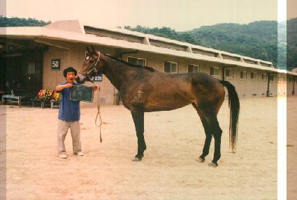 ������ ����