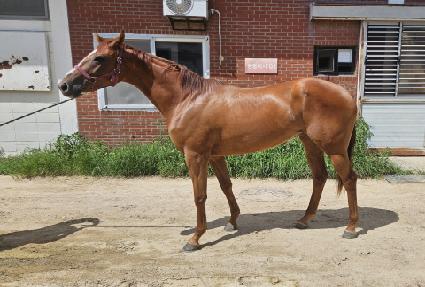 ��ŬŸ�� ����