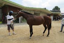 ��Ʈ���� (LAST K) ����