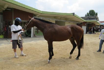 ��Ʈ���� ����