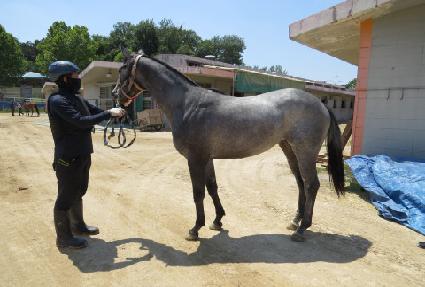 �ּ��� ����