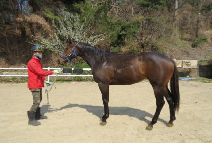 �Ŀ����� ����