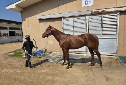 ����ũ ����