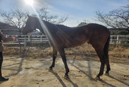 Ǫ���ű� ����