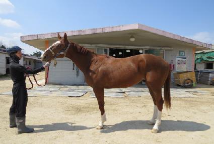 ��������Ÿ ����