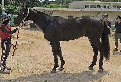 �ĳ��ŷ ����