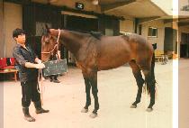 �߽õ� (JOONG SI DO) ����