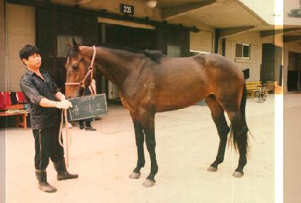 �߽õ� ����