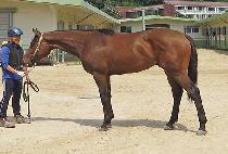 ���庣���� (WORLD VARIANCE) ����