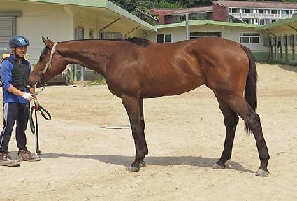 ���庣���� ����