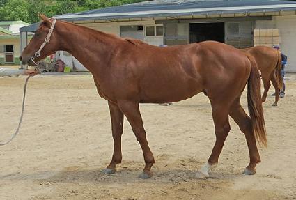 �帲���� ����