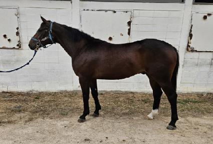 �ö��׷����� ����