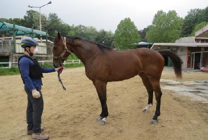 �ڽ���� ����