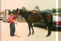 �ݰ����� (KEUM GWA OK JO) ����