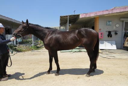 �ְ���� ����