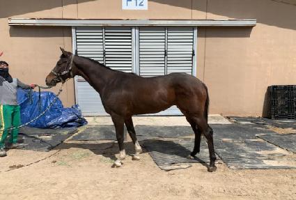 �Ŀ�Ǯ��� ����