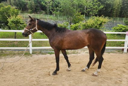 ��õ���� ����