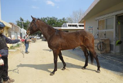 �����ñ״�ó ����