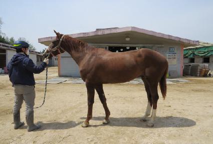 ��ü���ڸ��� ����