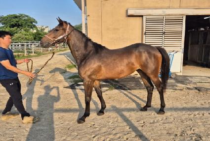 �Ŀ�Ǯ��Ʈ ����