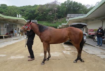 �Ŀ�Ǯ����Ƽ ����