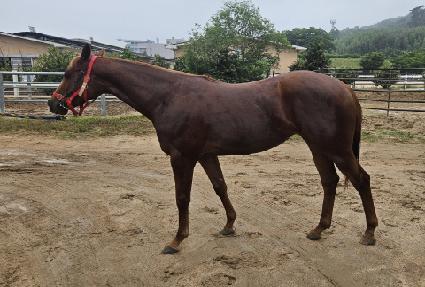 �Ŀ�Ǯ�� ����