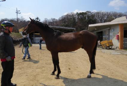 �Ŀ�Ǯ���� ����