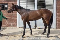 �Ŀ�Ǯ�޴��� (POWERFUL MENIFEE) ����