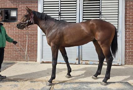 �Ŀ�Ǯ�޴��� ����