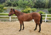 ����Ǯ�� (WONDERFUL VIEW) ����