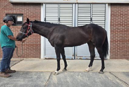 �Ŀ�Ǯ���� ����