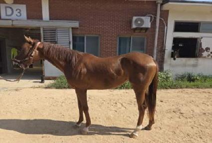 ��������ġƮ ����