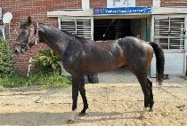 ����÷��� (VALUE PLAY) ����