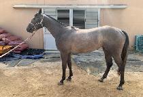 �帲���� (DREAM BLUE) ����