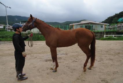 ����ũ���� ����