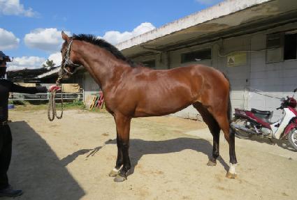 ��ȭ�� ����