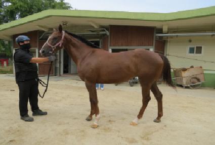 ����� ����