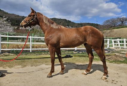 ���ƽý����� ����