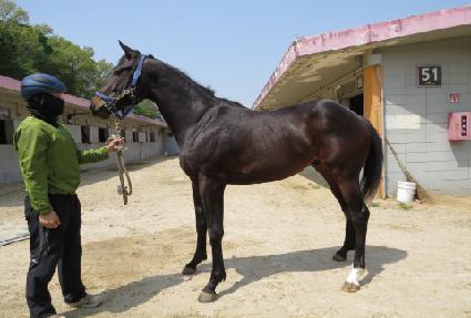 ���̿ñ�� ����