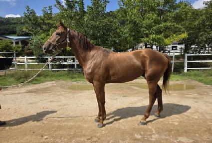 ��������ĸƾ ����