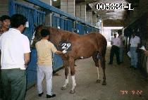 �����Ϸ� (SEONG SU IL RO) ����