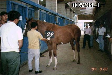 �����Ϸ� ����