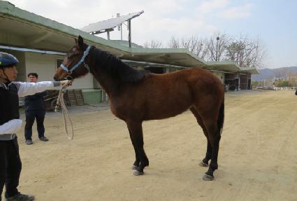 ���� ����