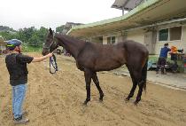 �츮���� (URI SUPER) ����