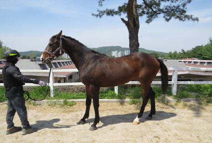 ������Ͼ� ����